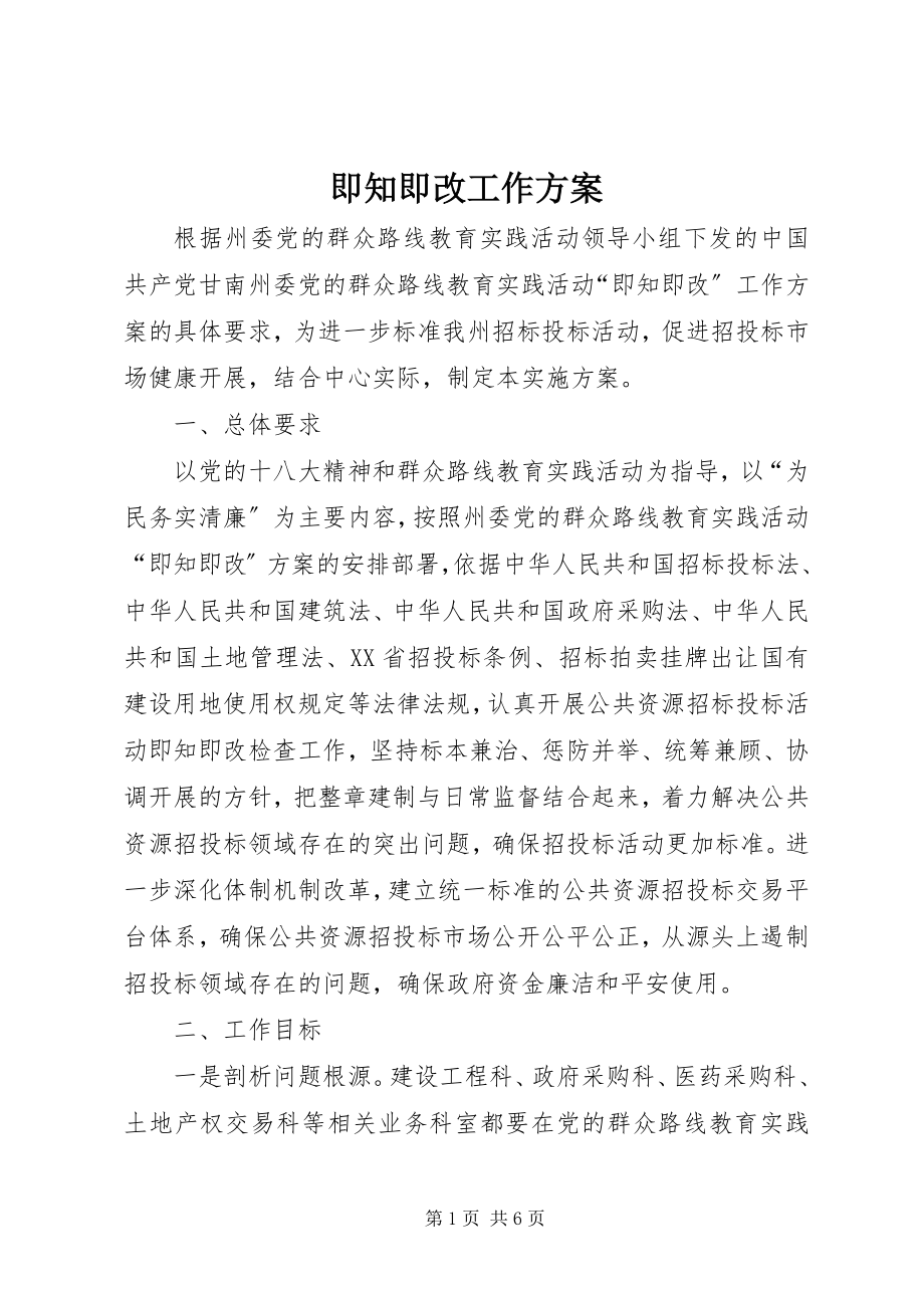 2023年即知即改工作方案.docx_第1页