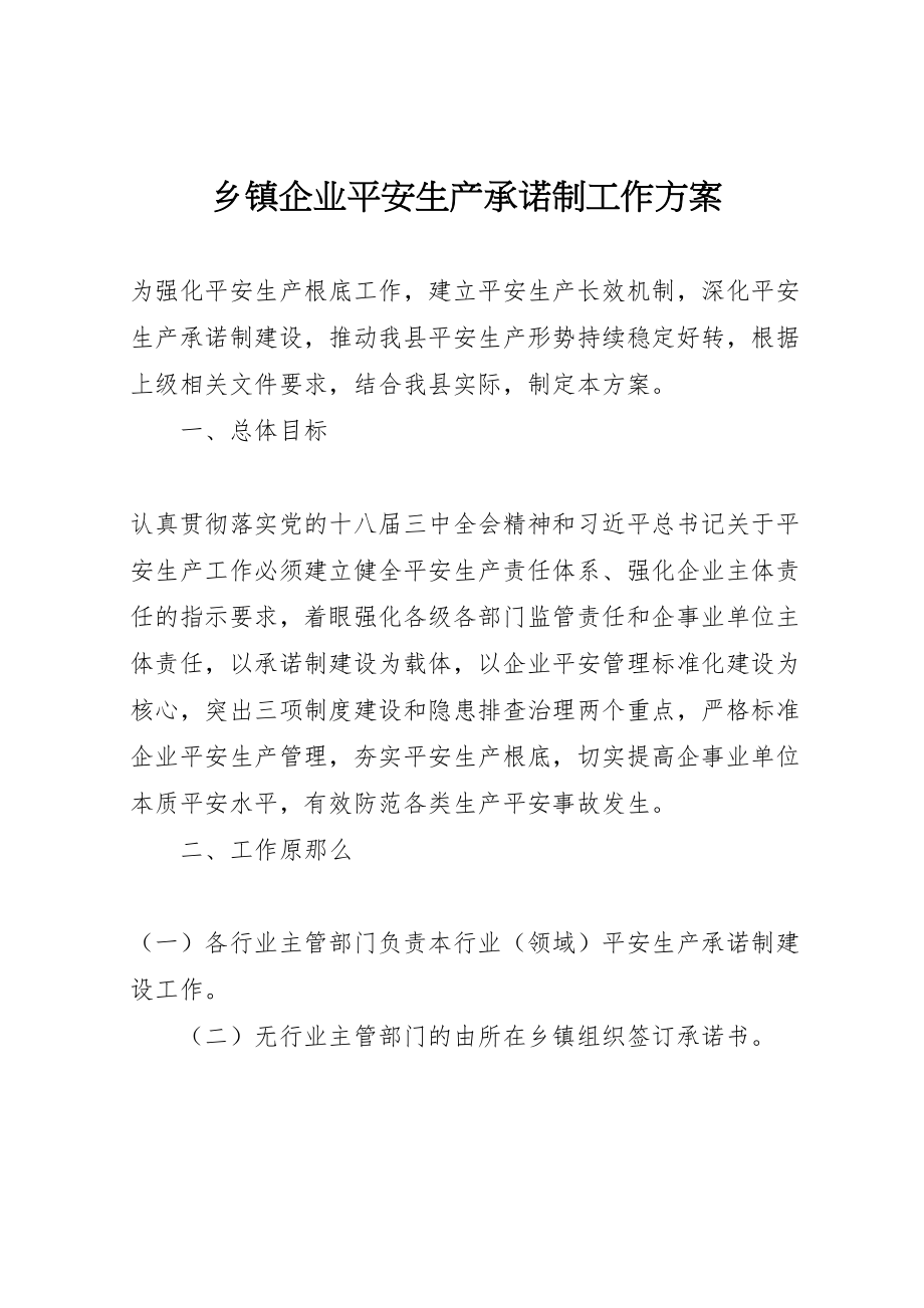 2023年乡镇企业安全生产承诺制工作方案 .doc_第1页