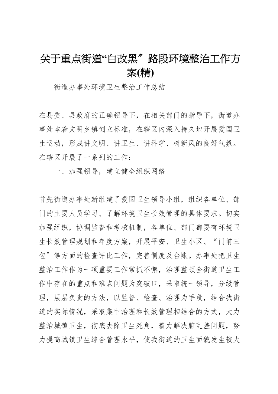 2023年关于重点街道白改黑路段环境整治工作方案 2.doc_第1页