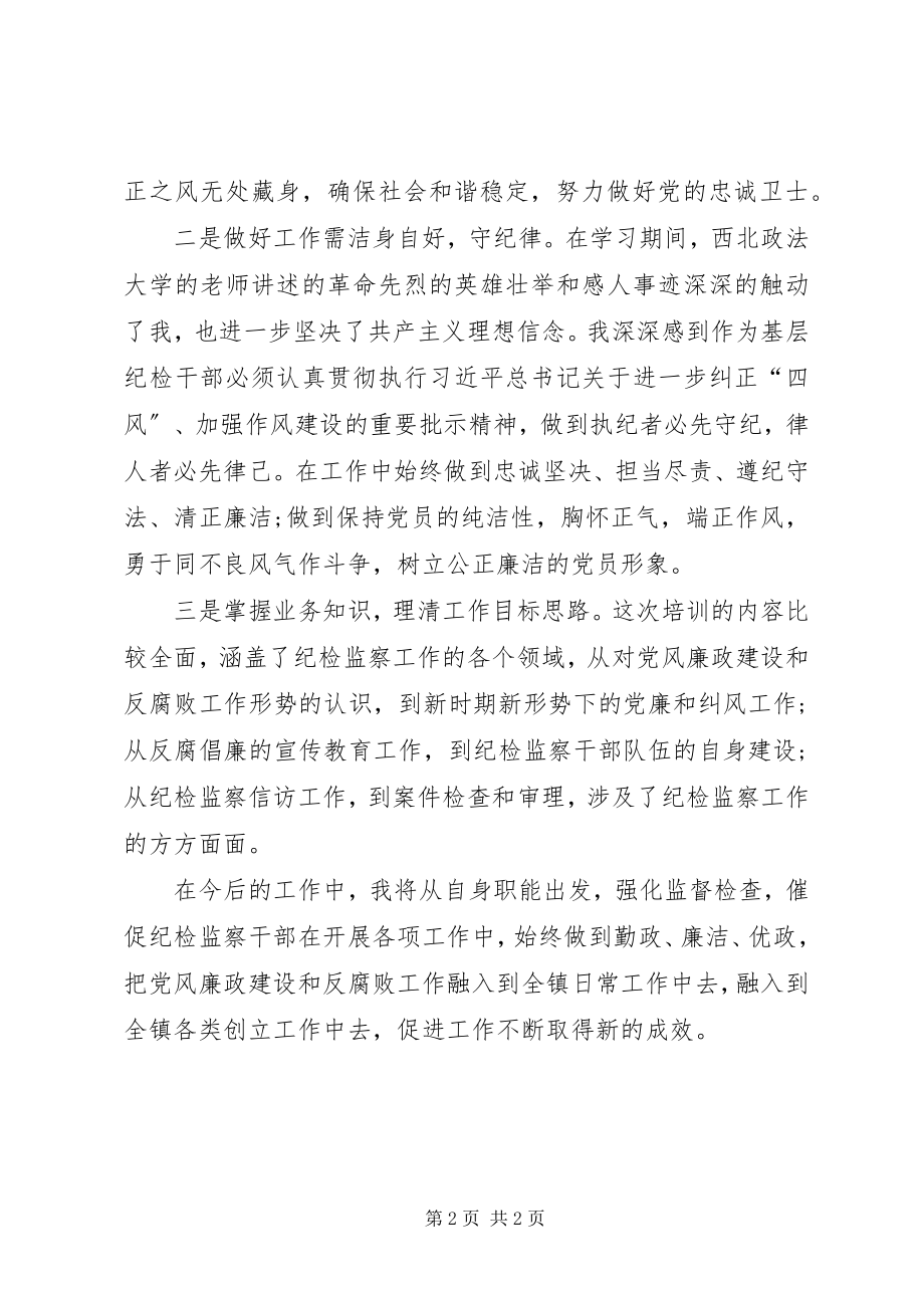 2023年XX纪检业务培训心得体会新编.docx_第2页