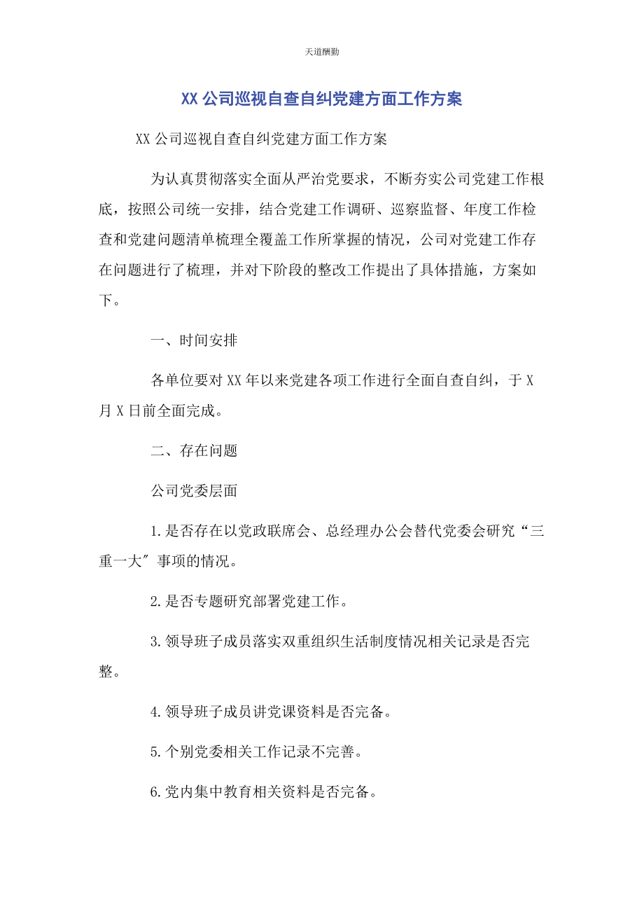 2023年xx公司巡视自查自纠党建方面工作方案.docx_第1页