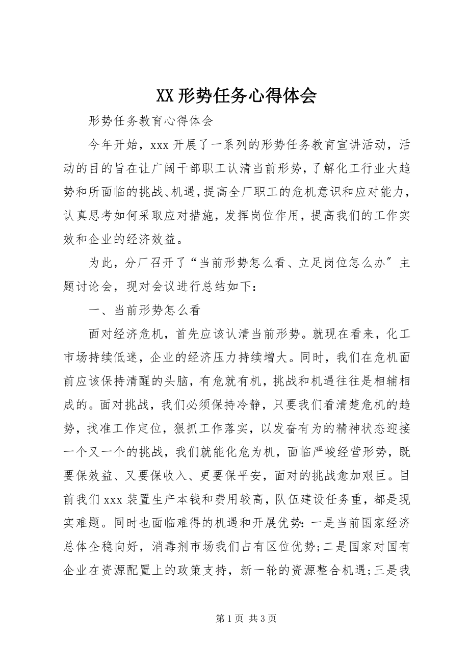 2023年XX形势任务心得体会新编.docx_第1页