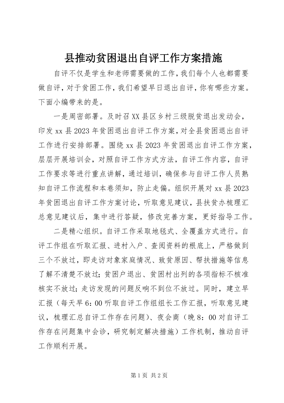 2023年县推动贫困退出自评工作方案措施.docx_第1页