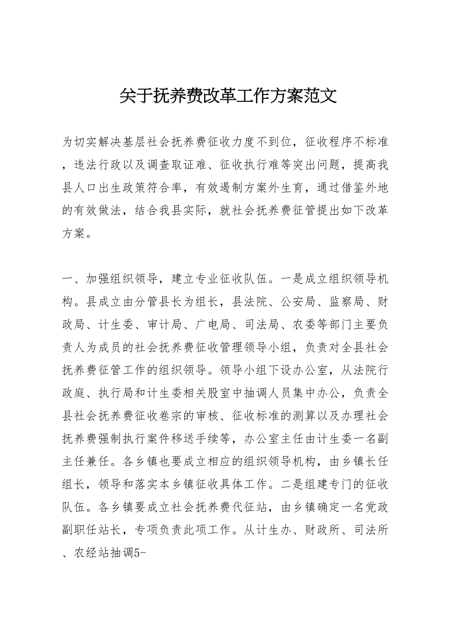 2023年关于抚养费改革工作方案范文.doc_第1页