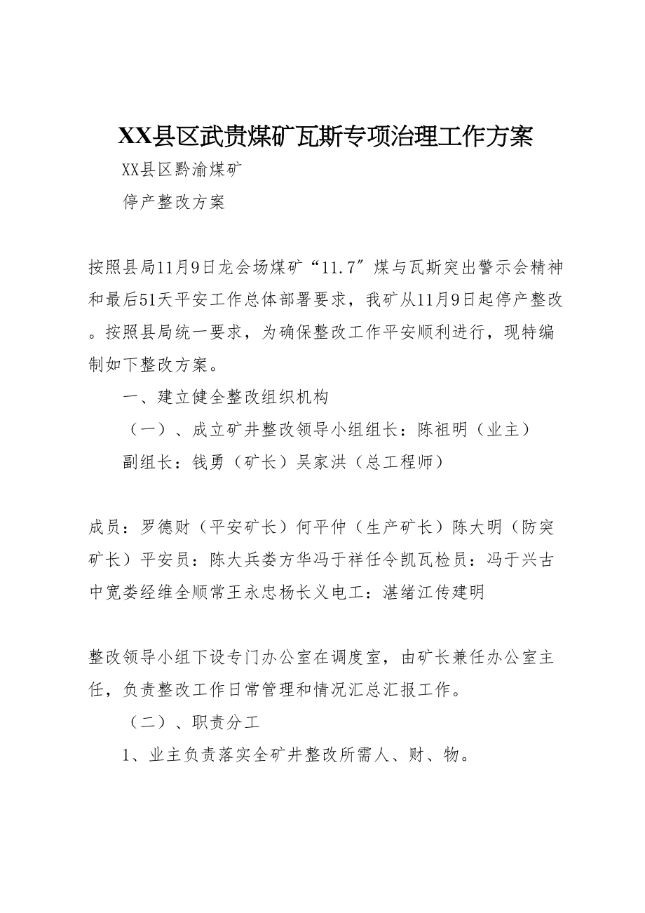 2023年县区武贵煤矿瓦斯专项治理工作方案 3.doc_第1页