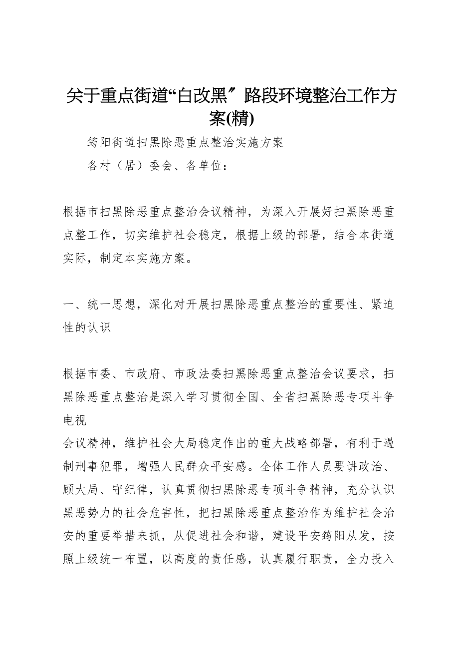 2023年关于重点街道白改黑路段环境整治工作方案 .doc_第1页