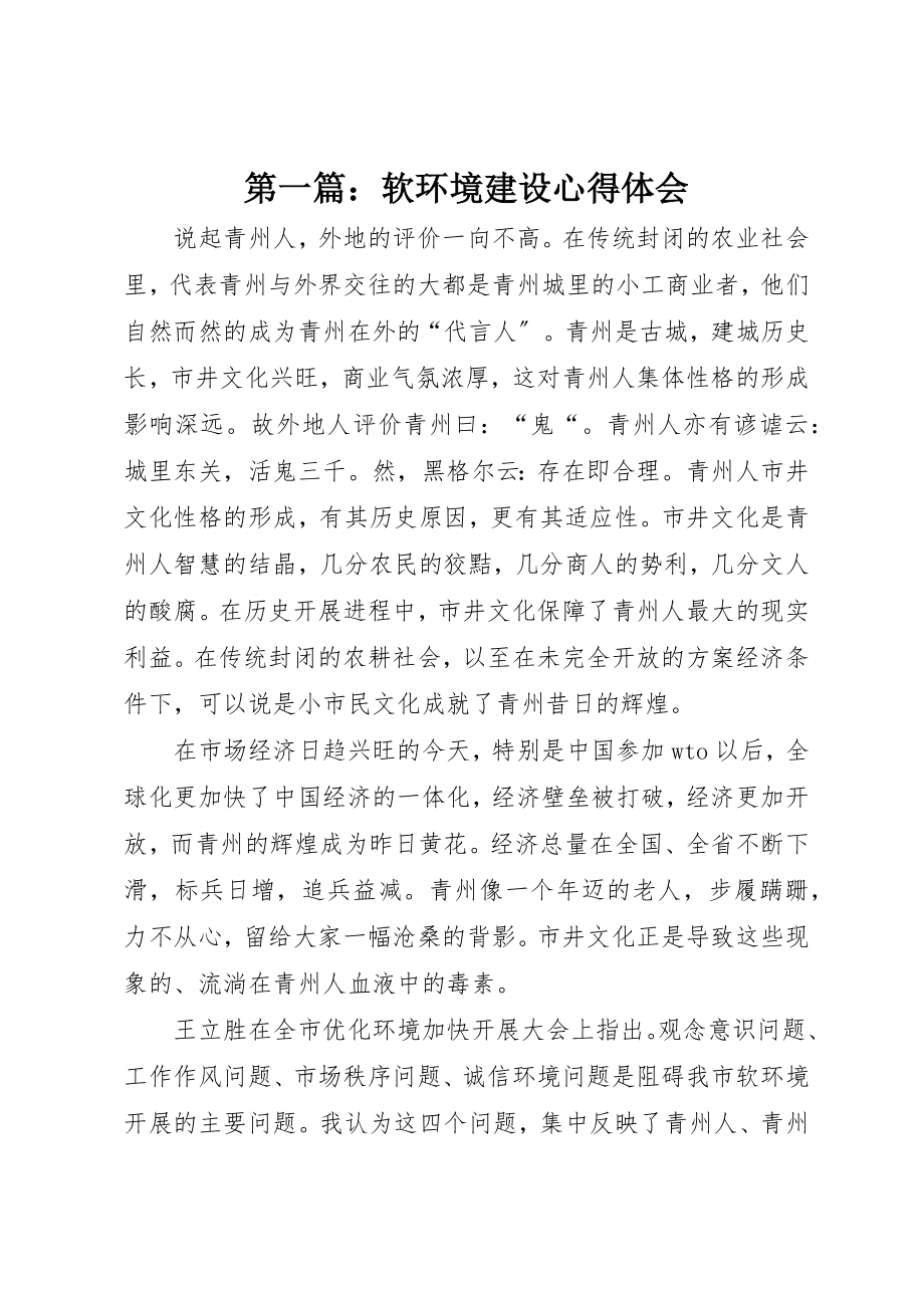 2023年xx软环境建设心得体会新编.docx_第1页