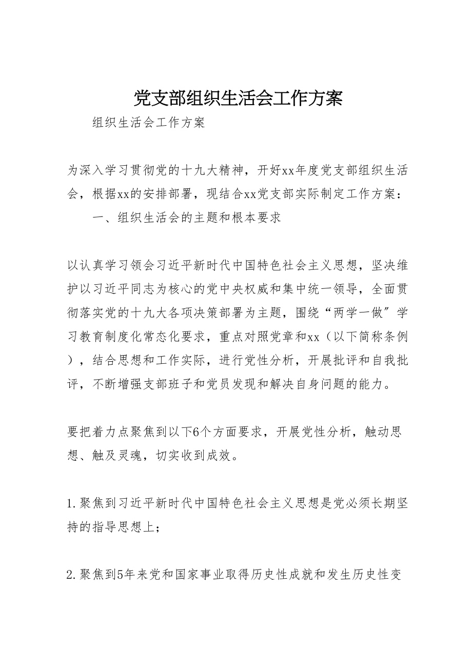 2023年党支部组织生活会工作方案.doc_第1页