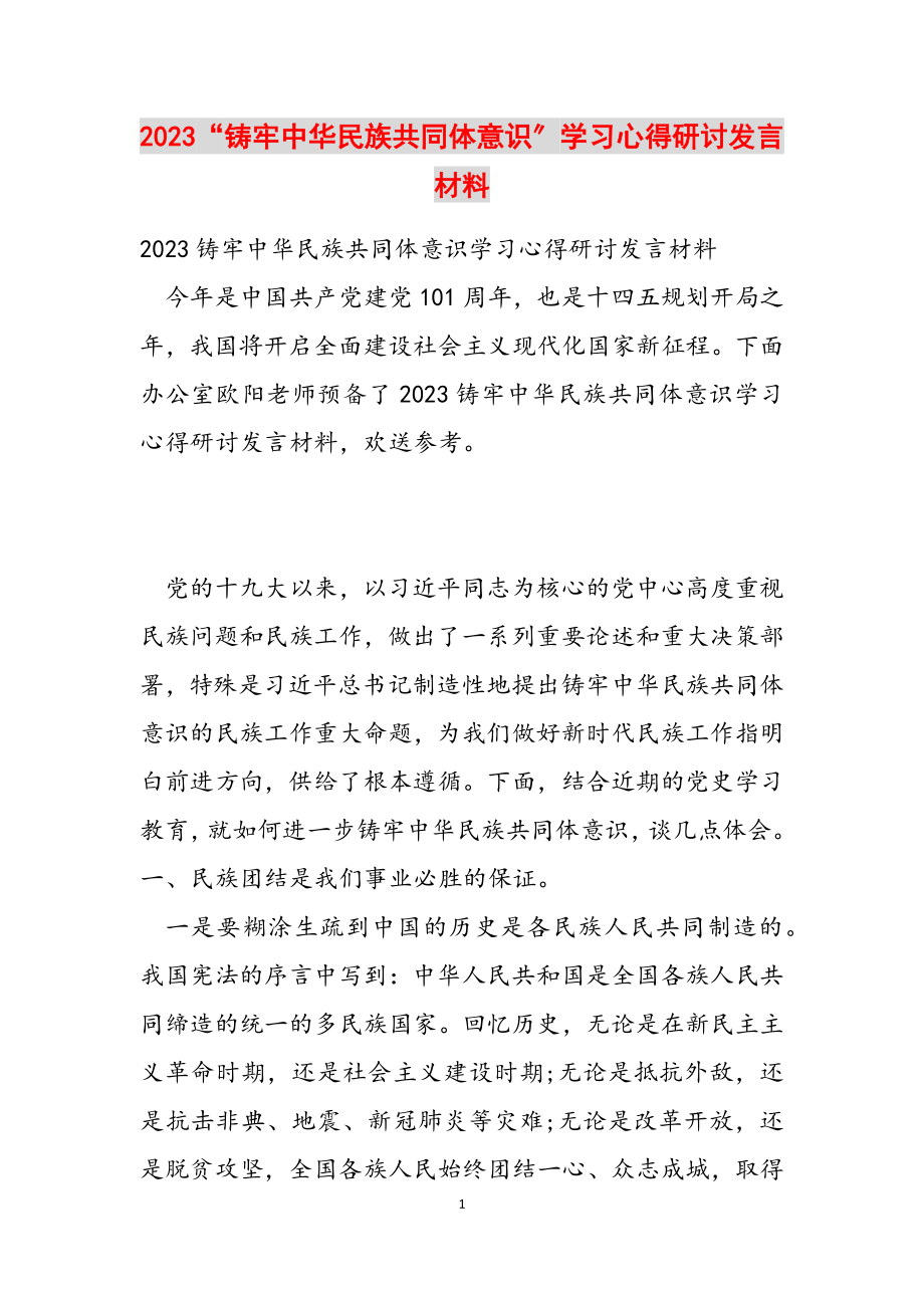 2023“铸牢中华民族共同体意识”学习心得研讨发言材料.docx_第1页