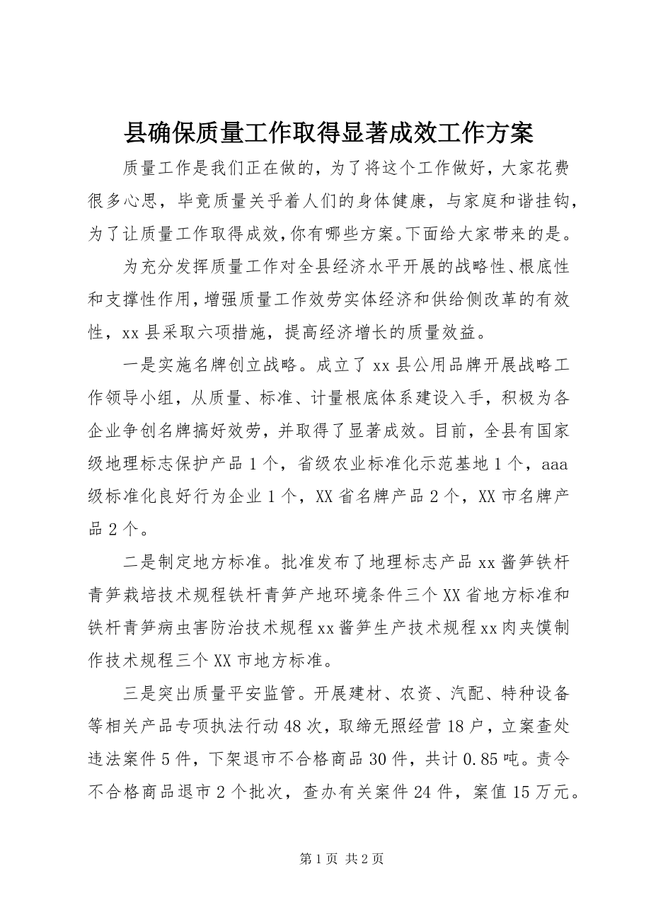 2023年县确保质量工作取得显著成效工作方案.docx_第1页