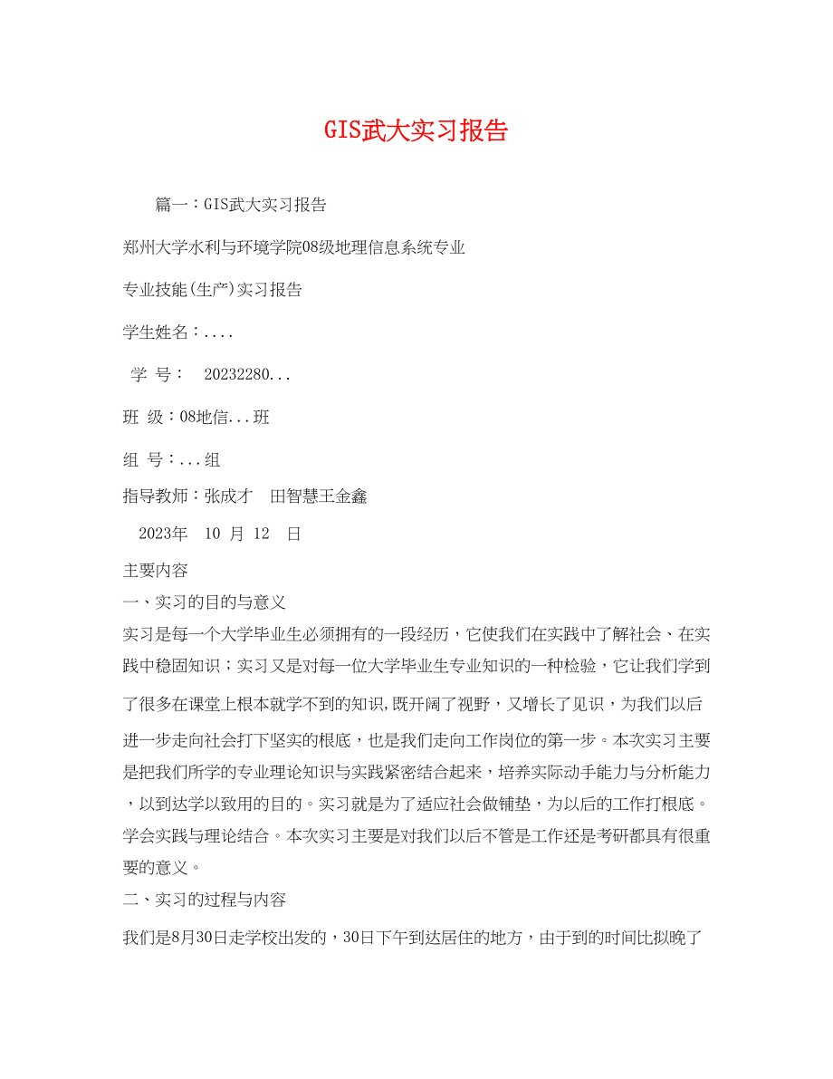 2023年GIS武大实习报告2.docx_第1页