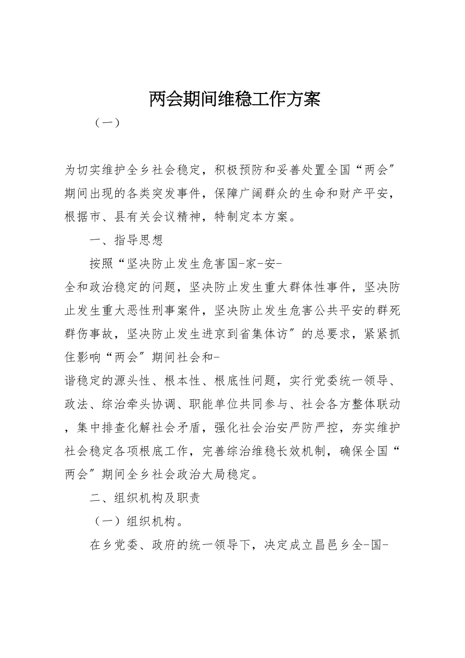 2023年两会期间维稳工作方案.doc_第1页