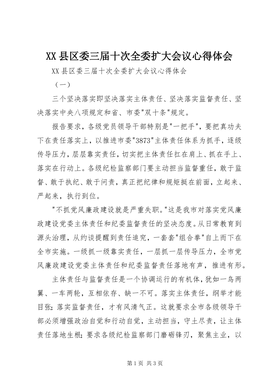 2023年XX县区委三届十次全委扩大会议心得体会新编.docx_第1页