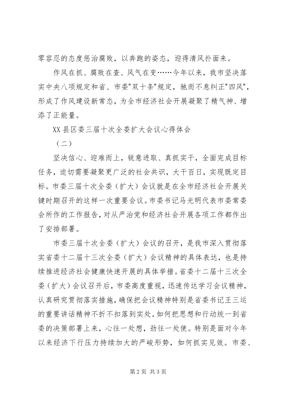 2023年XX县区委三届十次全委扩大会议心得体会新编.docx_第2页