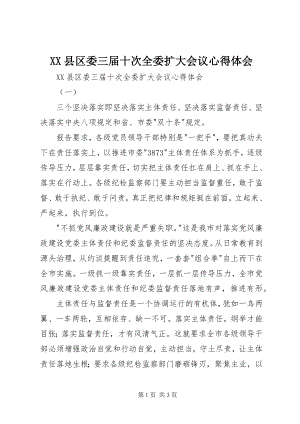 2023年XX县区委三届十次全委扩大会议心得体会新编.docx