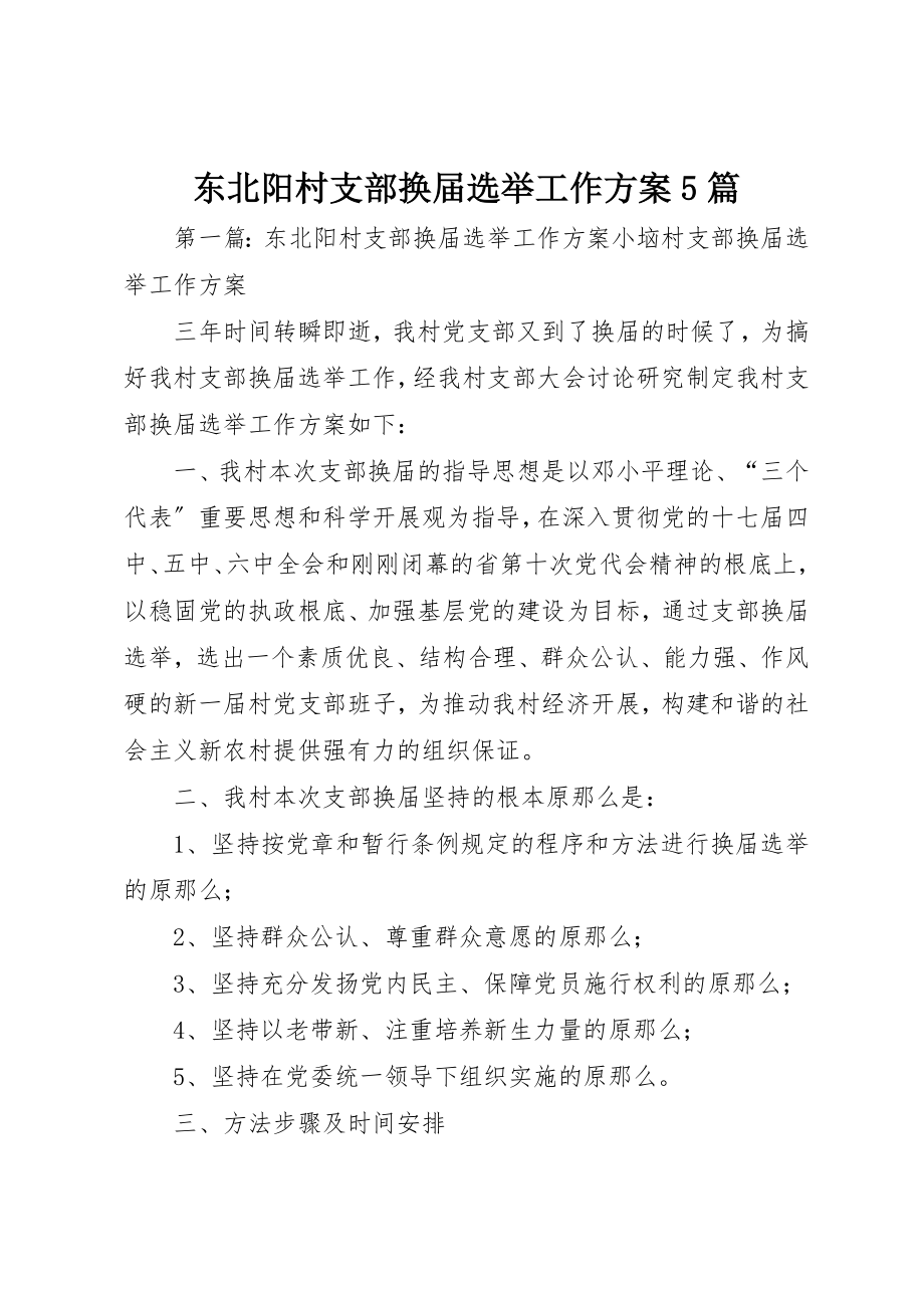 2023年东北阳村支部换届选举工作方案5篇.docx_第1页