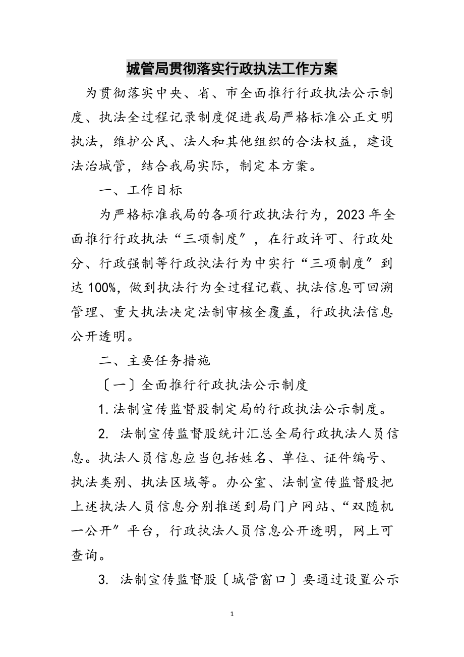 2023年城管局贯彻落实行政执法工作方案范文.doc_第1页