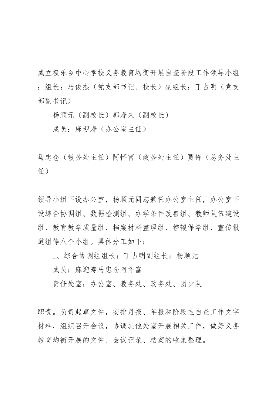 2023年学校义务教育均衡发展自查阶段工作方案.doc_第3页