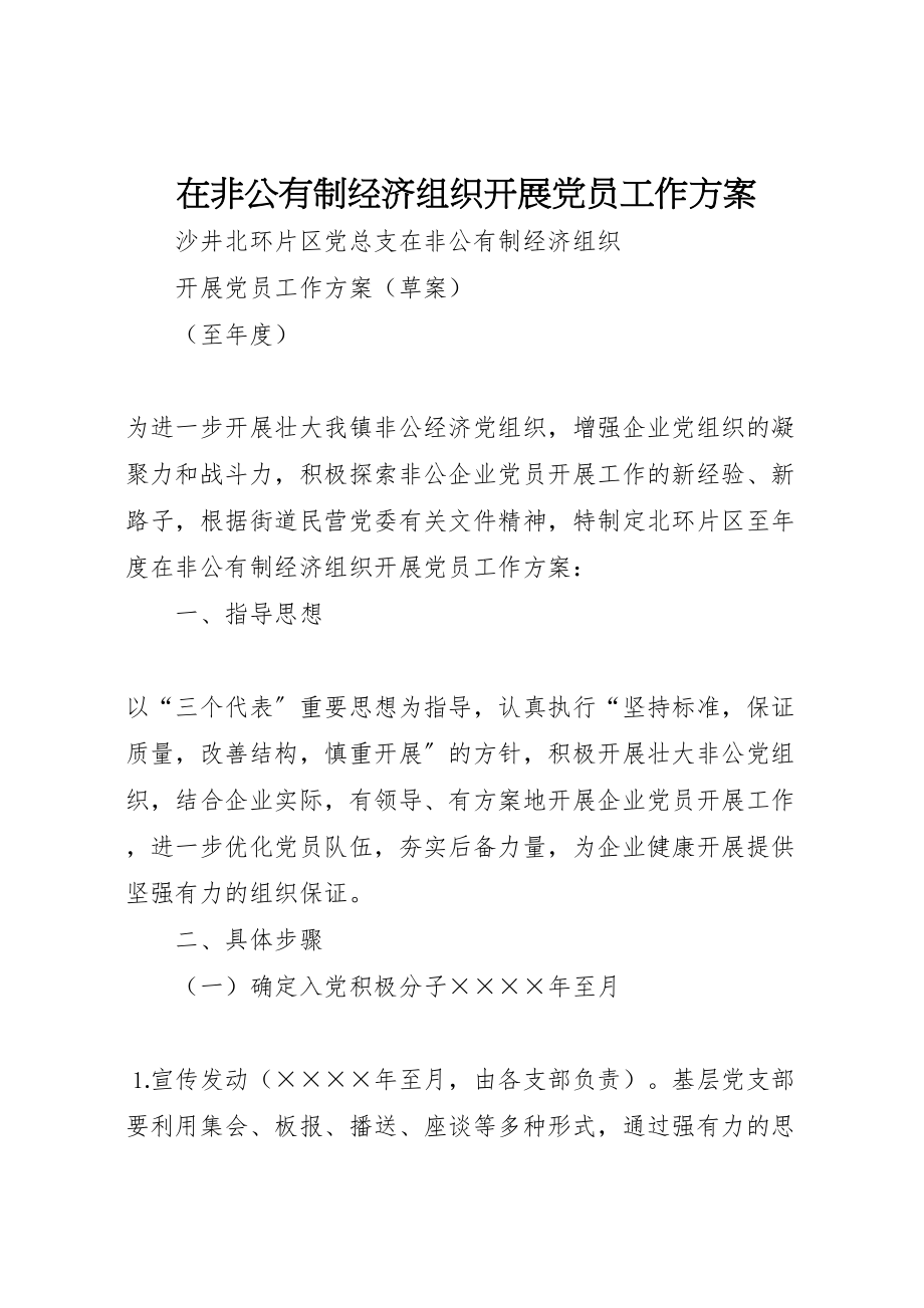 2023年在非公有制经济组织发展党员工作方案 2.doc_第1页