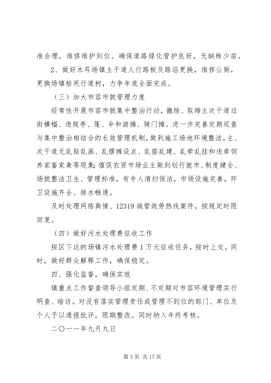 2023年市容环境长效管理工作方案.docx_第3页