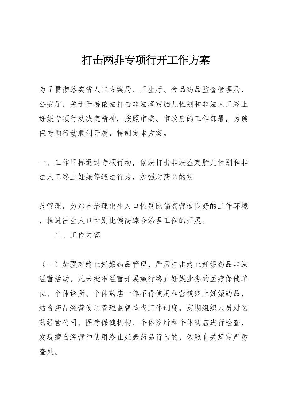 2023年打击两非专项行动工作方案 .doc_第1页