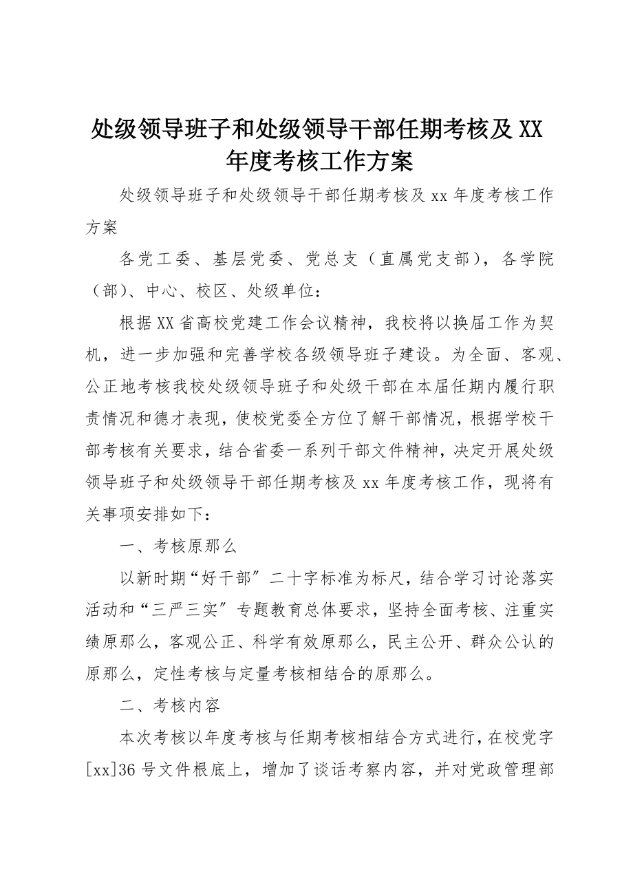 2023年处级领导班子和处级领导干部任期考核及某年度考核工作方案.docx_第1页