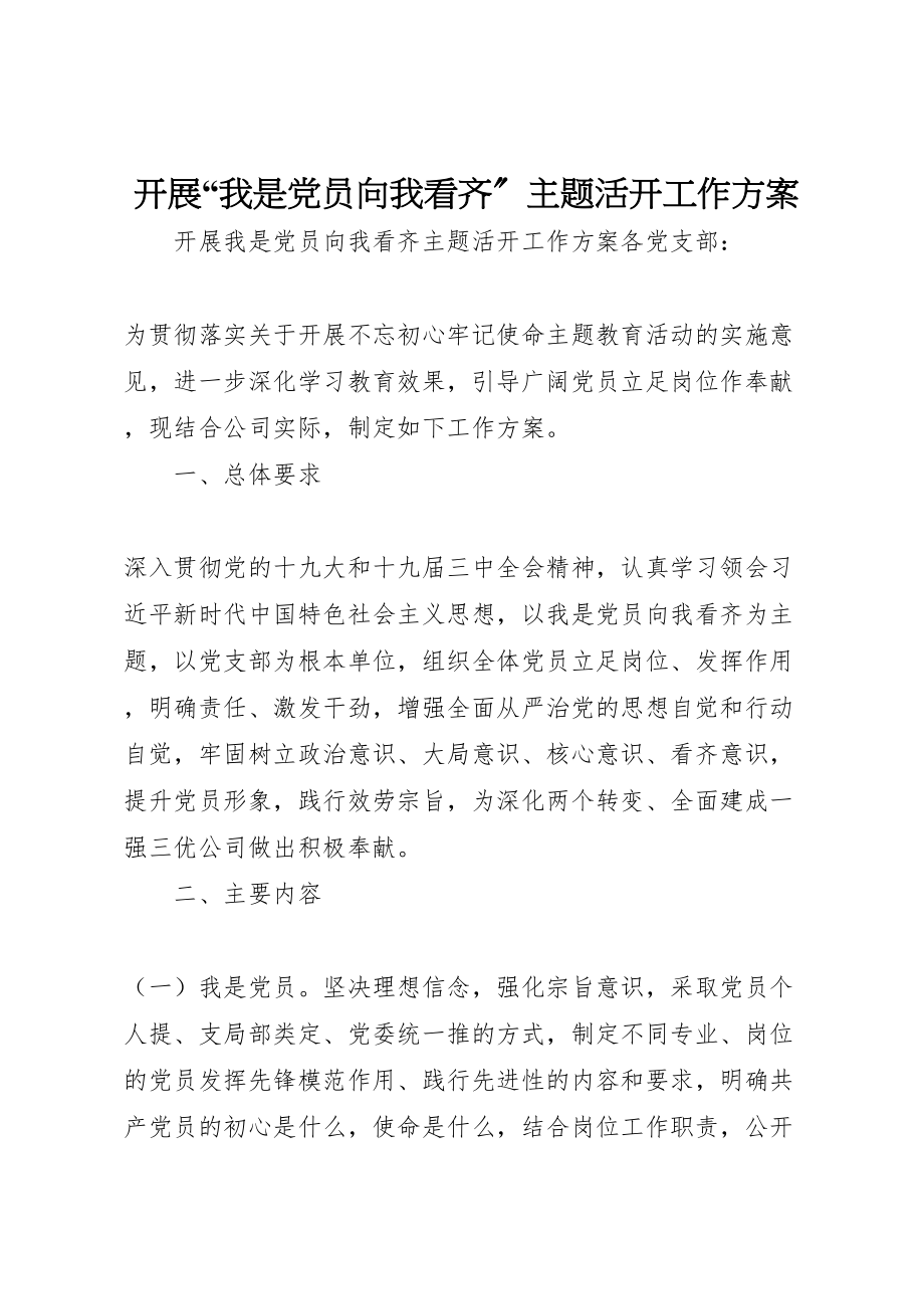 2023年开展我是党员向我看齐主题活动工作方案.doc_第1页