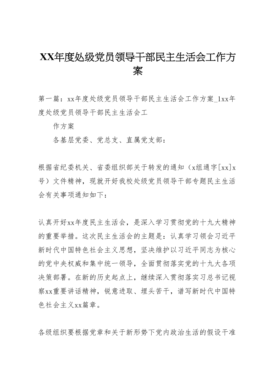 2023年度处级党员领导干部民主生活会工作方案.doc_第1页