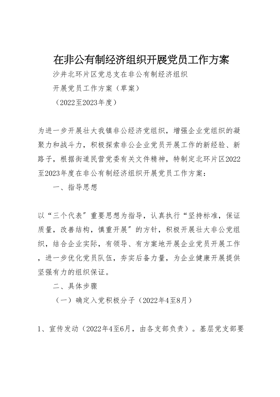 2023年在非公有制经济组织发展党员工作方案 5.doc_第1页