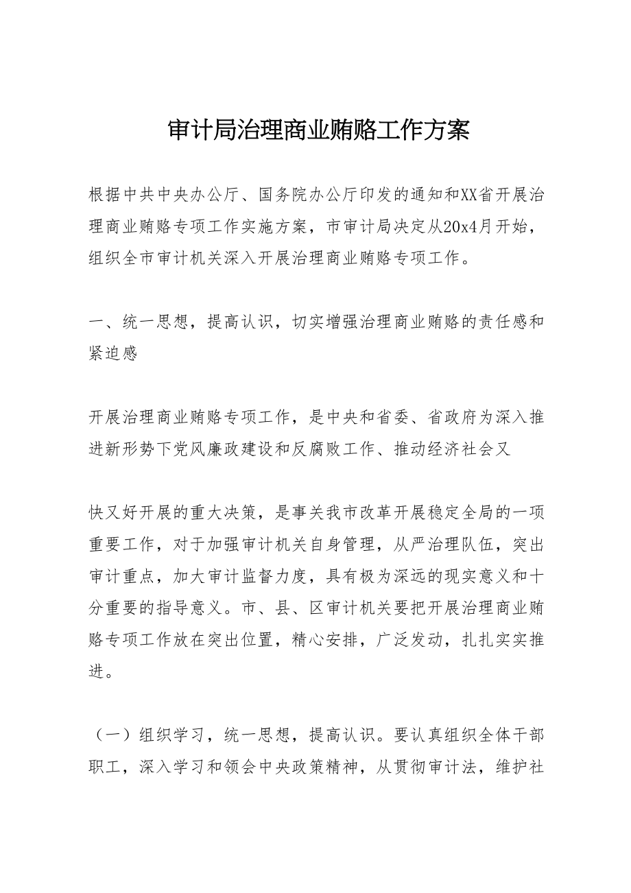 2023年审计局治理商业贿赂工作方案.doc_第1页