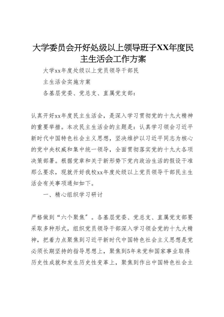 2023年大学委员会开好处级以上领导班子年度民主生活会工作方案 2.doc_第1页