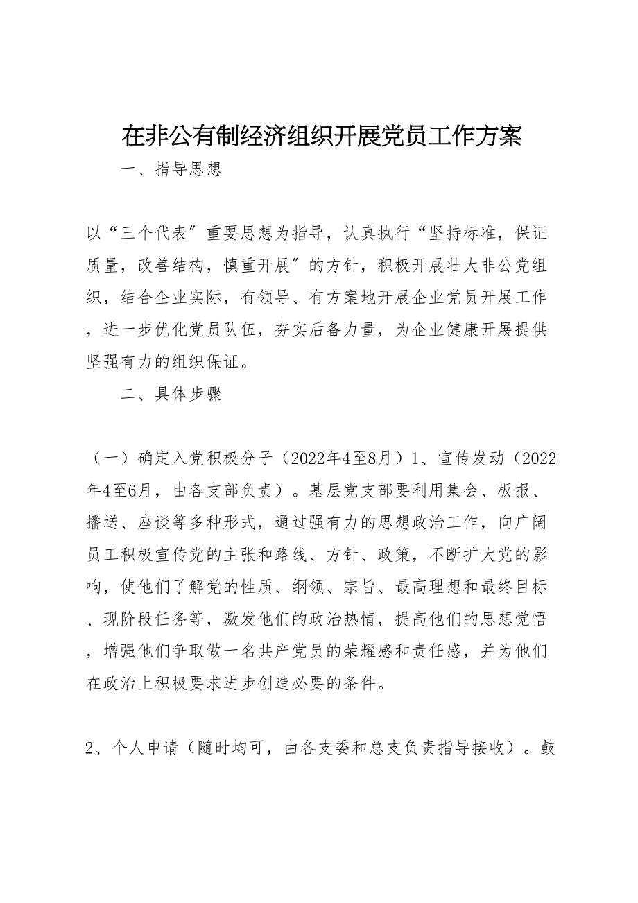 2023年在非公有制经济组织发展党员工作方案 13.doc_第1页