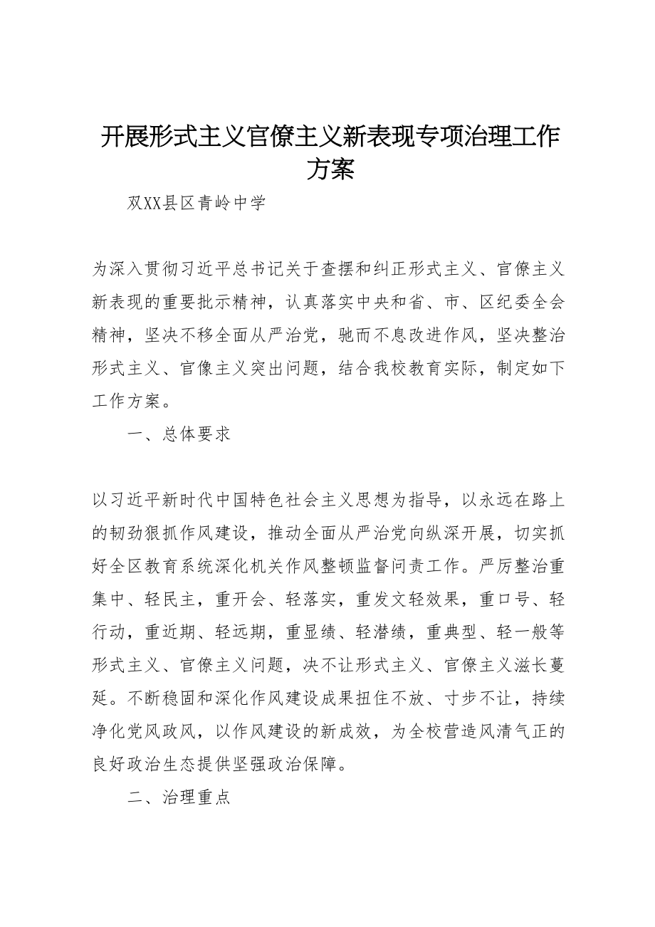 2023年开展形式主义官僚主义新表现专项治理工作方案 .doc_第1页