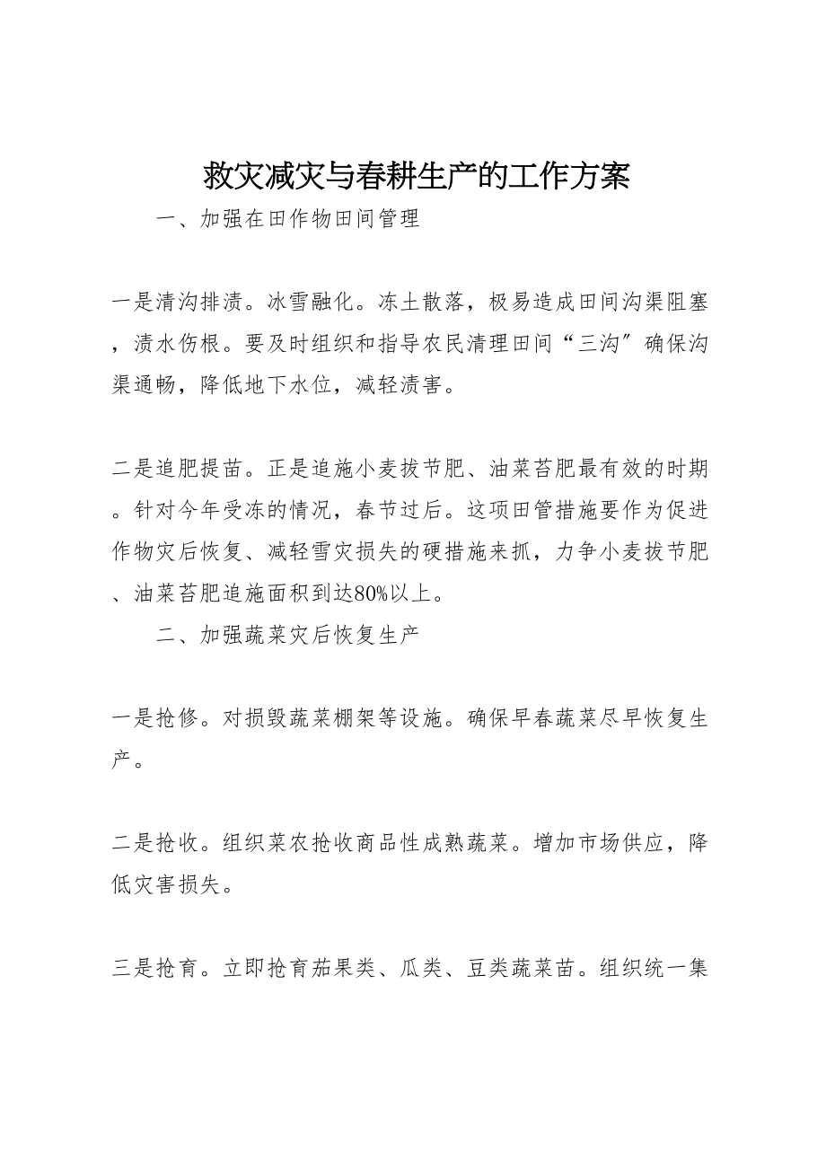 2023年救灾减灾与春耕生产的工作方案.doc_第1页