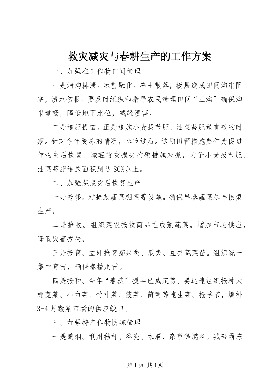 2023年救灾减灾与春耕生产的工作方案.docx_第1页