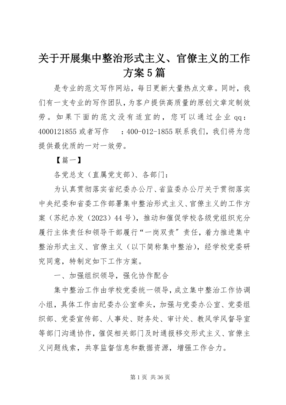 2023年开展集中整治形式主义、官僚主义的工作方案5篇.docx_第1页