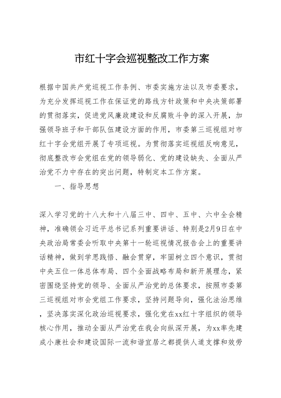 2023年市红十字会巡视整改工作方案.doc_第1页