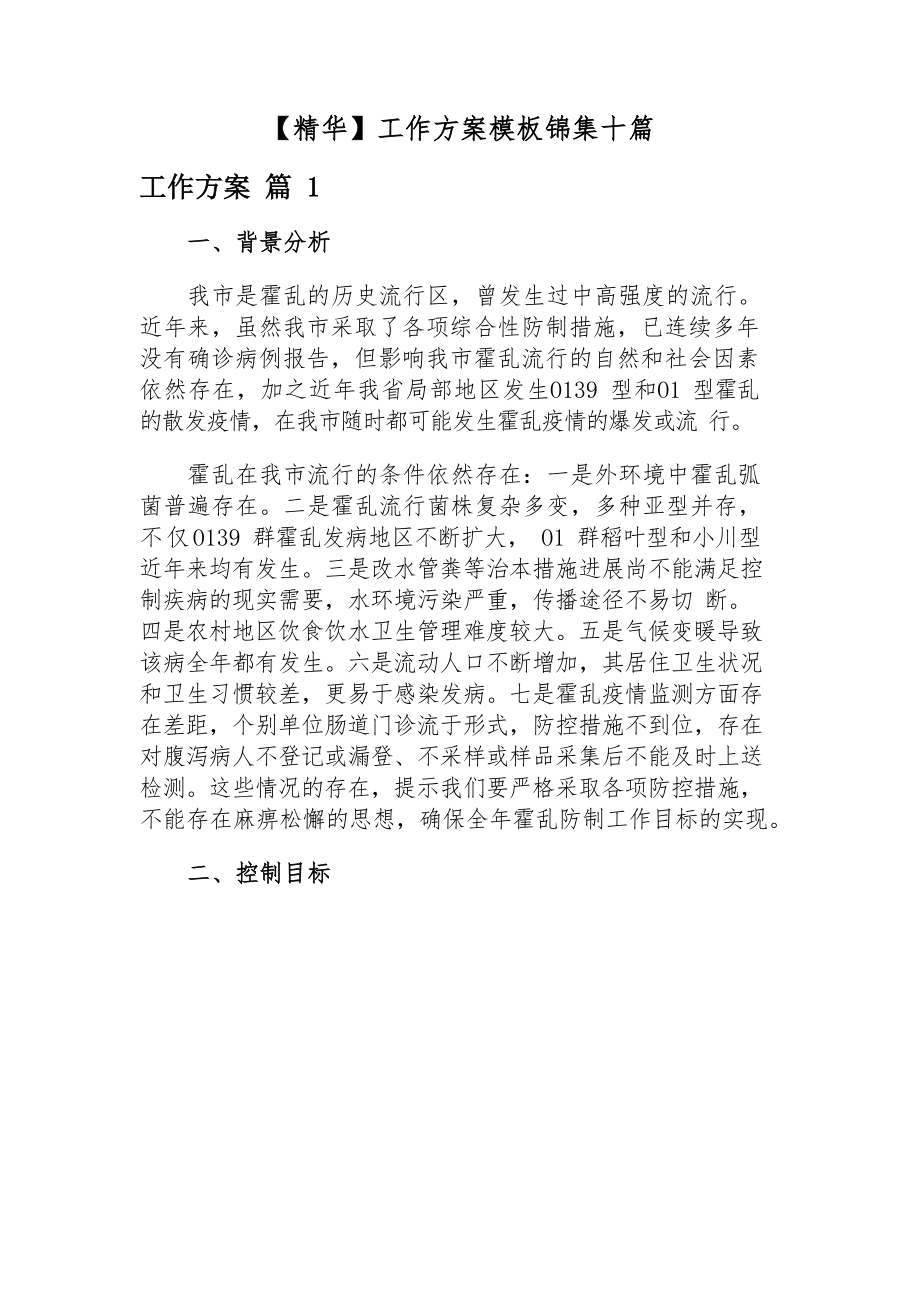 2023年工作方案模板锦集十篇.docx_第1页