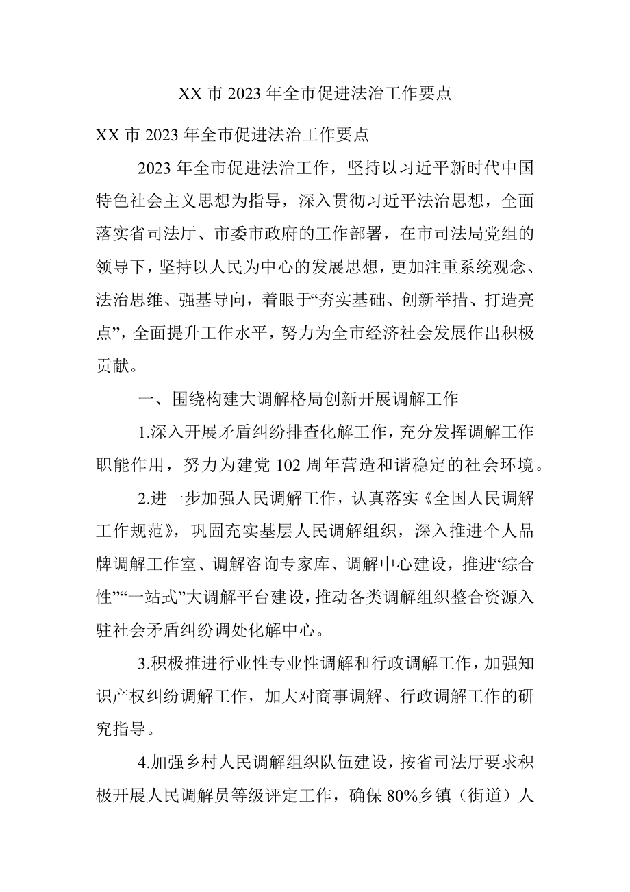 XX市2023年全市促进法治工作要点.docx_第1页