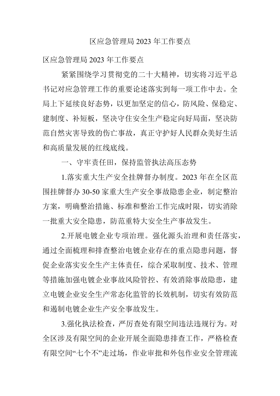 区应急管理局2023年工作要点.docx_第1页