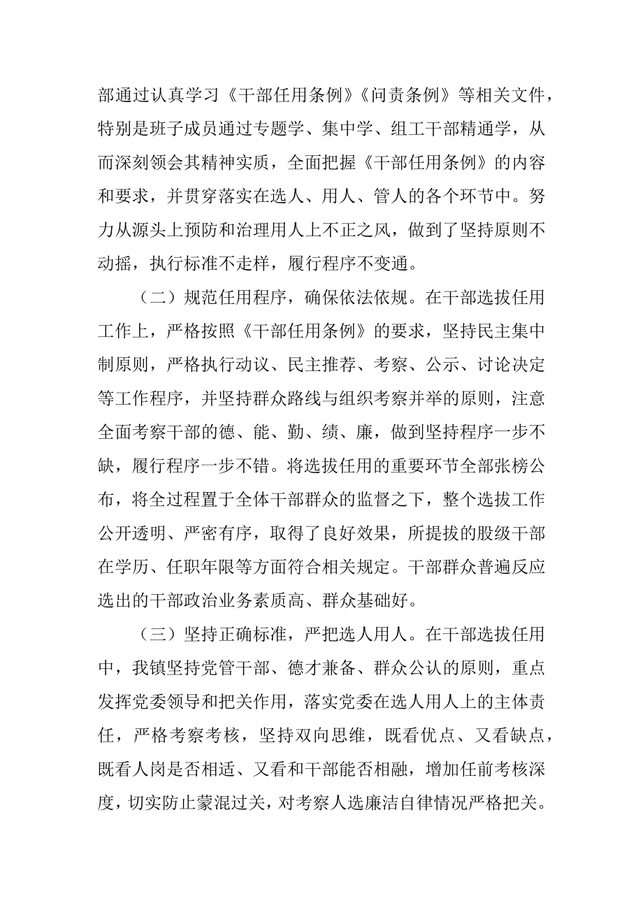 乡镇组织人事工作情况汇报.docx_第2页