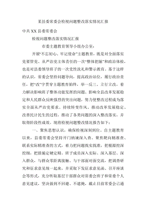 某县委常委会检视问题整改落实情况汇报.docx