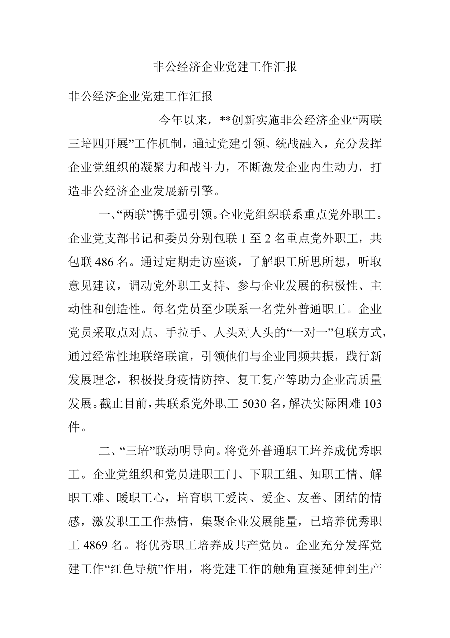 非公经济企业党建工作汇报.docx_第1页