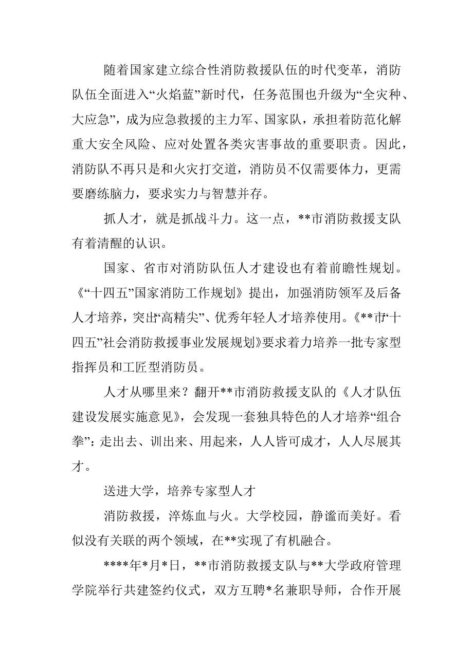 消防救援支队人才队伍建设工作综述.docx_第2页