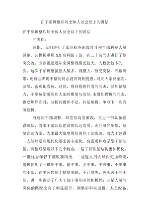 在干部调整后局全体人员会议上的讲话.docx