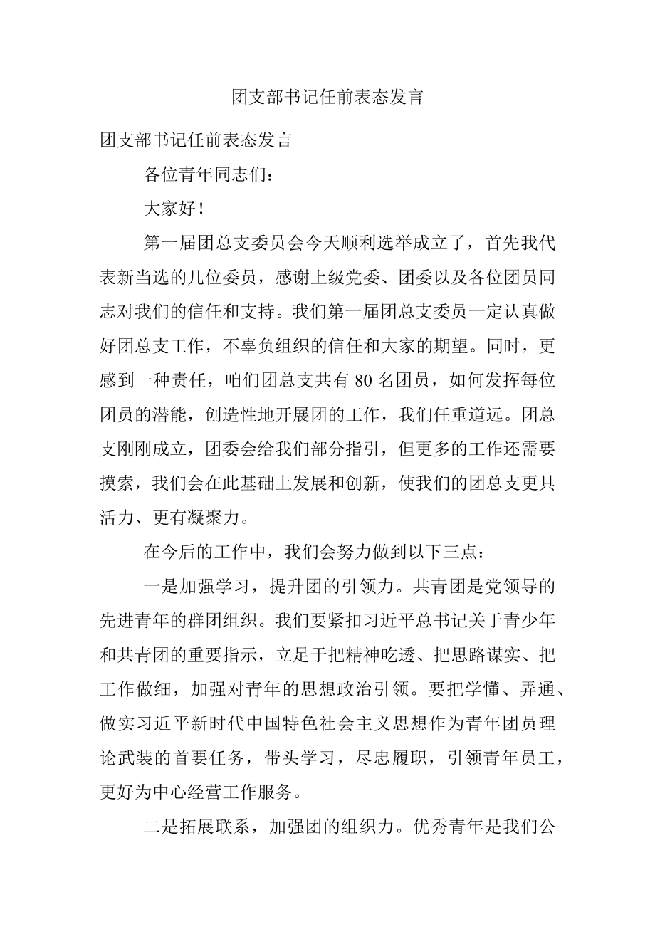 团支部书记任前表态发言.docx_第1页