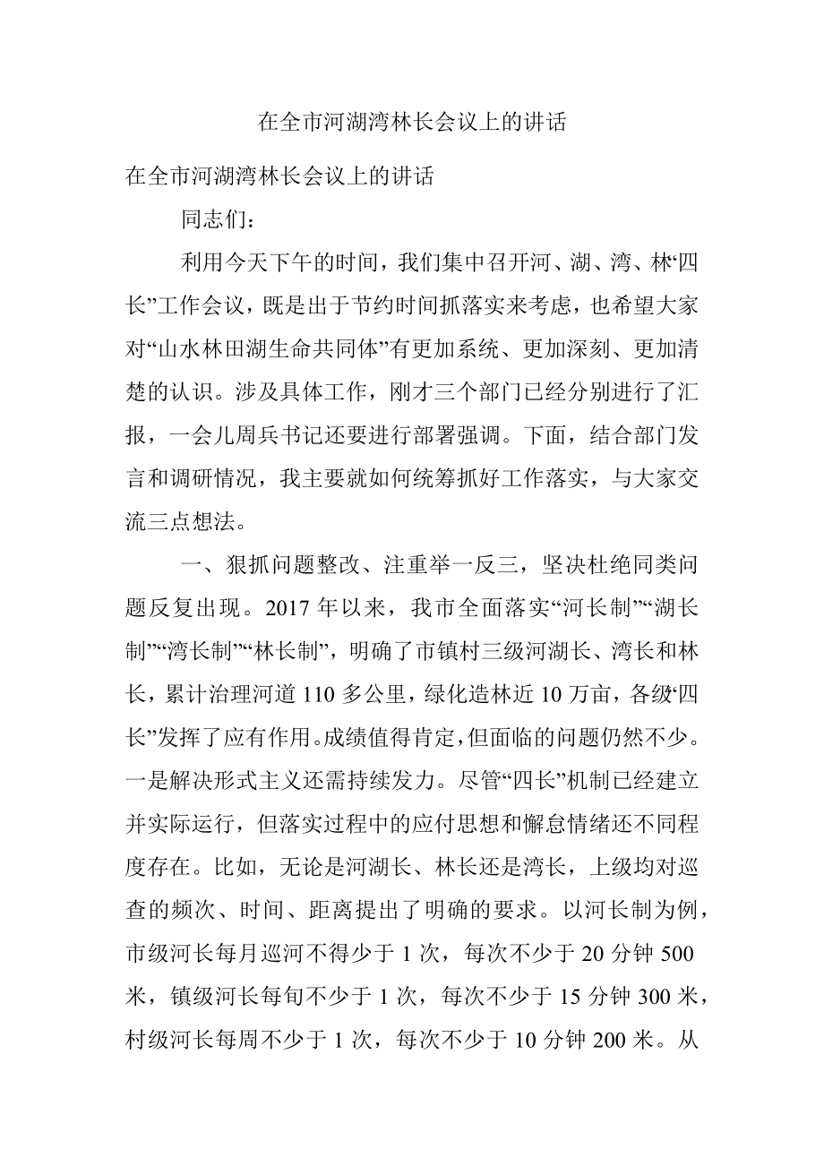 在全市河湖湾林长会议上的讲话.docx_第1页