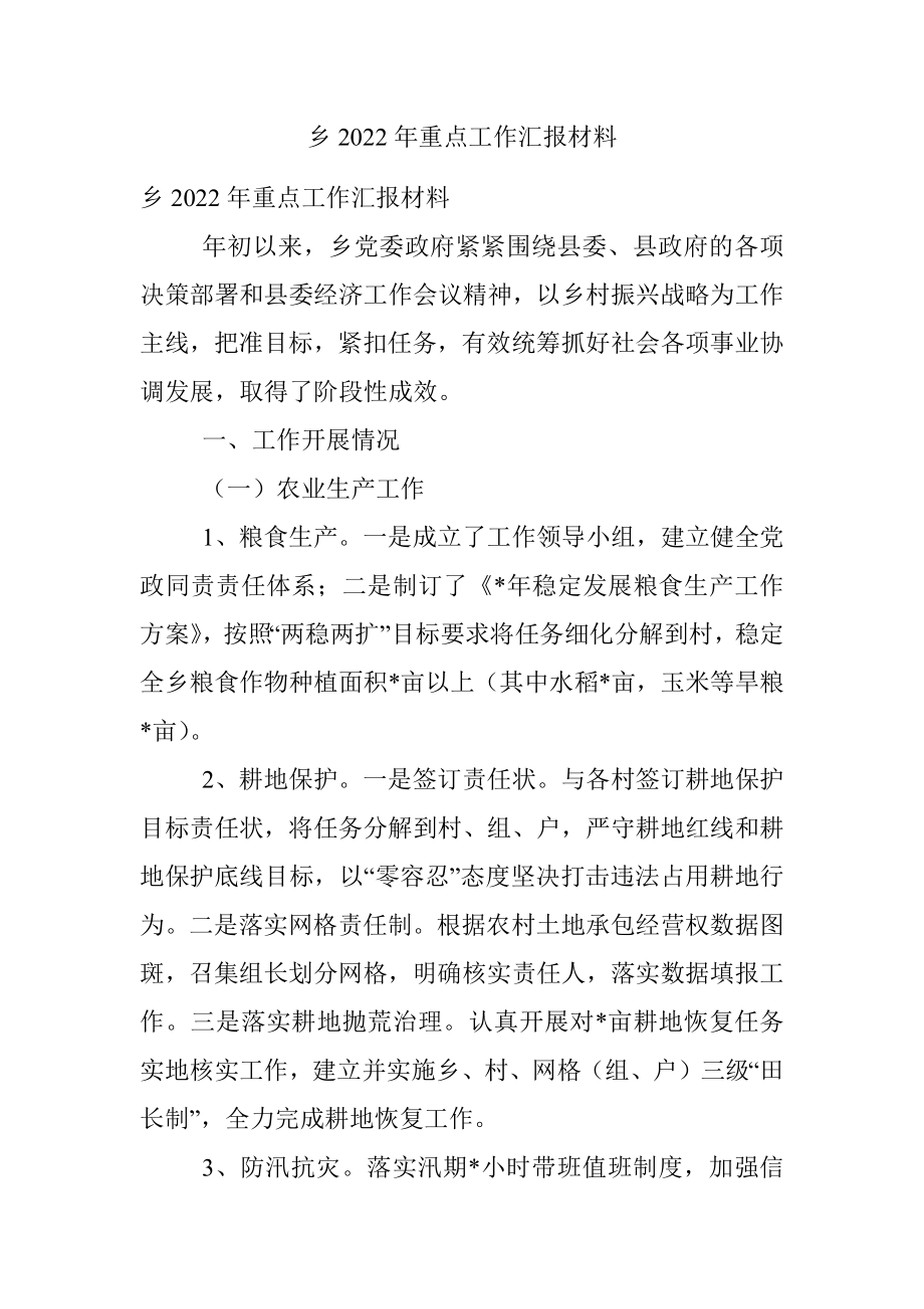 乡2022年重点工作汇报材料.docx_第1页