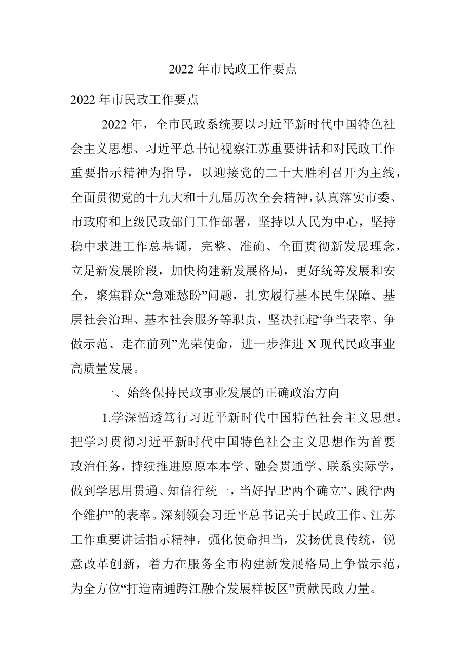 2022年市民政工作要点.docx_第1页