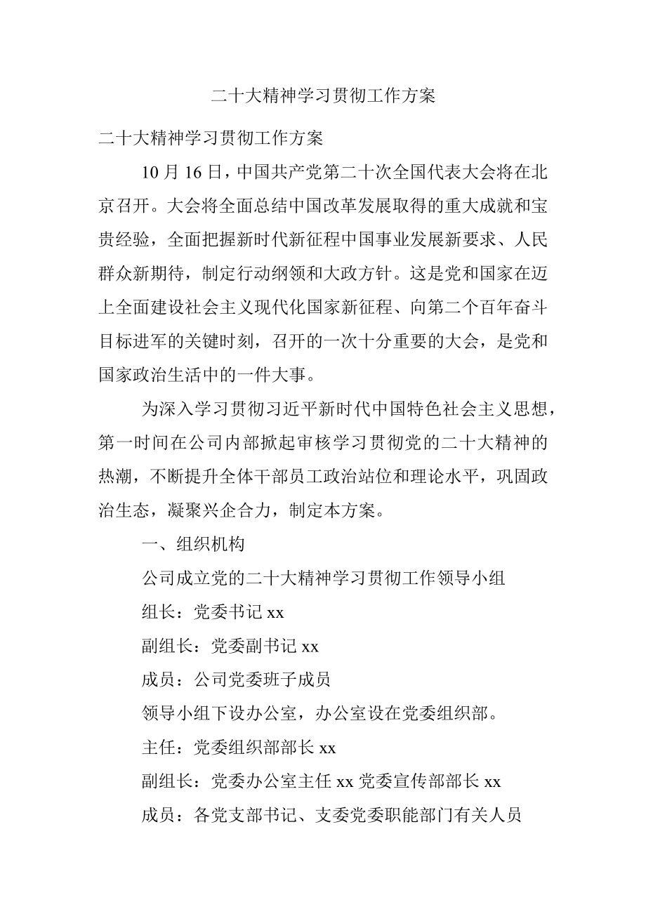 二十大精神学习贯彻工作方案.docx_第1页